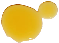 DHA (from Algae)